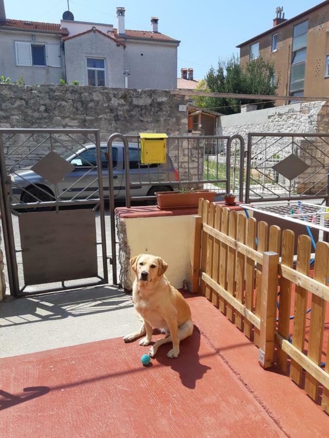 Studio Apartman Danijela Πούλα Εξωτερικό φωτογραφία